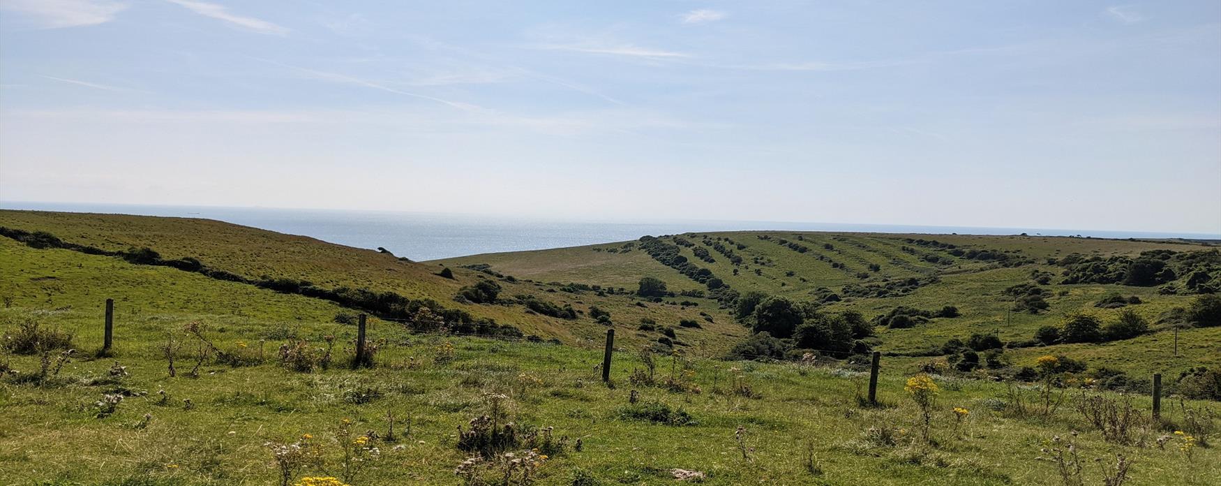 The grassy, rolling hills of Worth Matravers, looking out to the sea in the far distance.