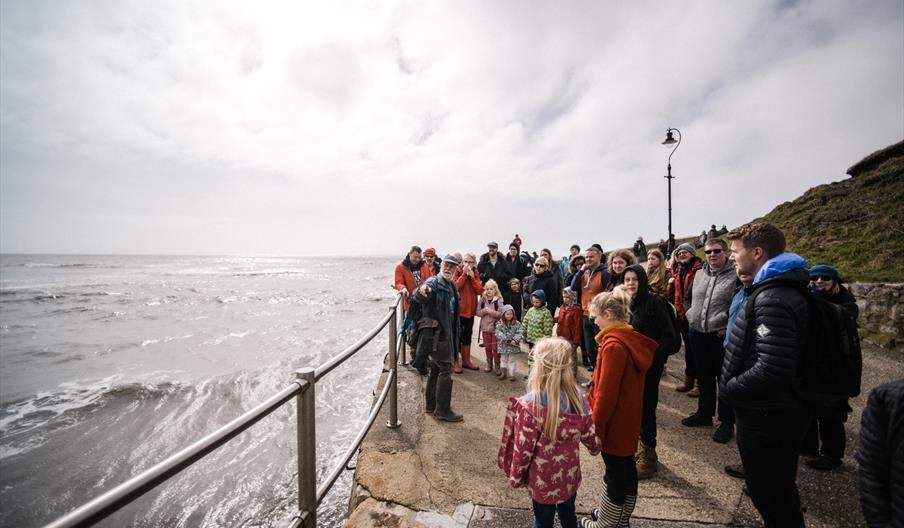 Lyme Regis Museum fossil walk