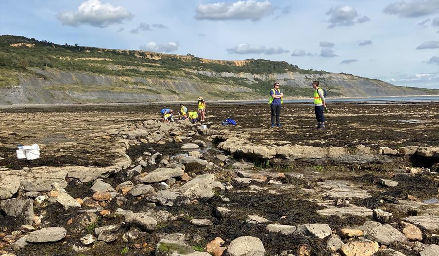 Picture of a beach with rocks and seaweed, cloudy sky and some people in hi viz jackets looking at the beach