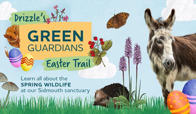 Poster showing a donkey, hedgehog and easter eggs and advertising the Green Guardians Easter Trail