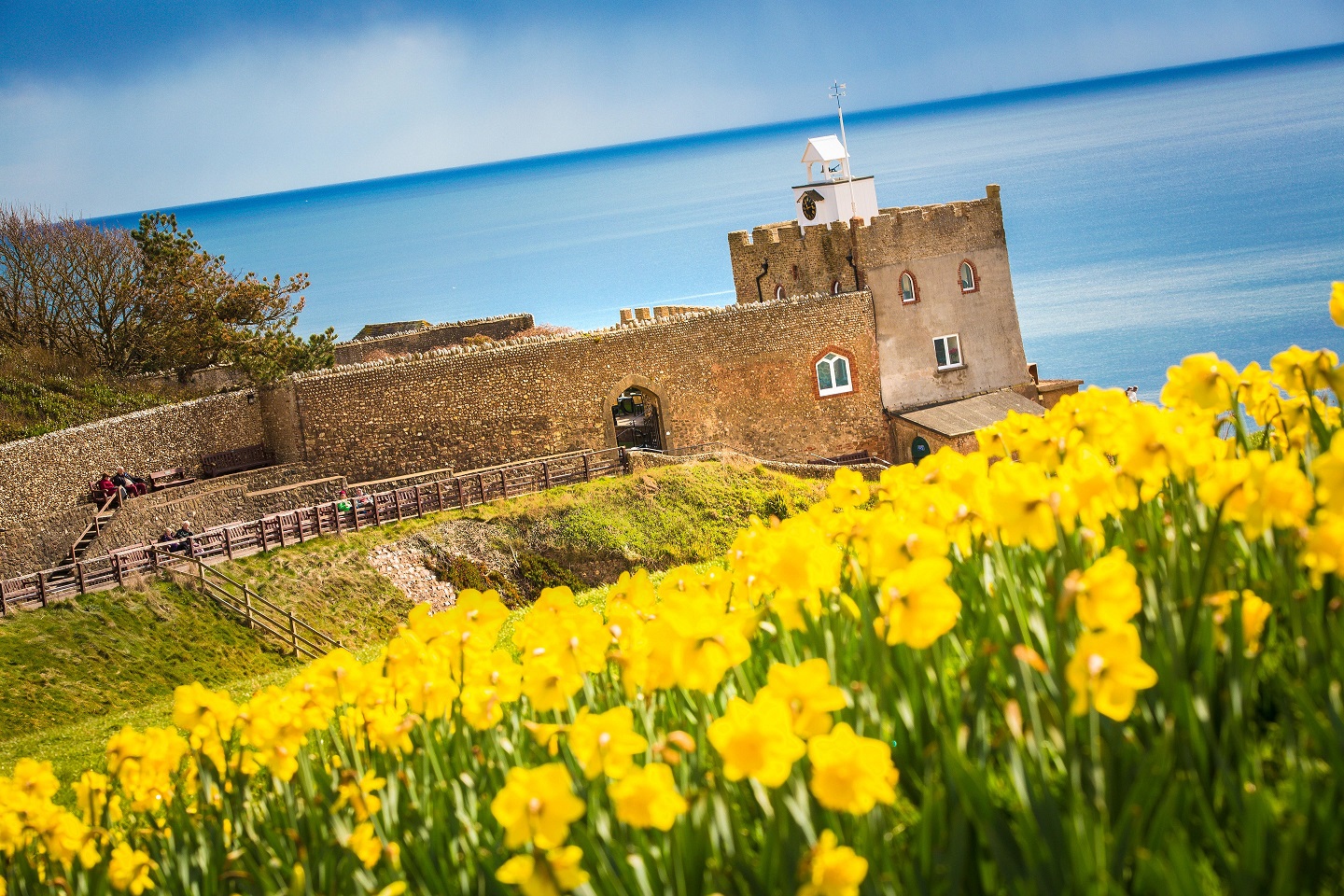 The Clock Tower from Peak Hill, Sidmouth