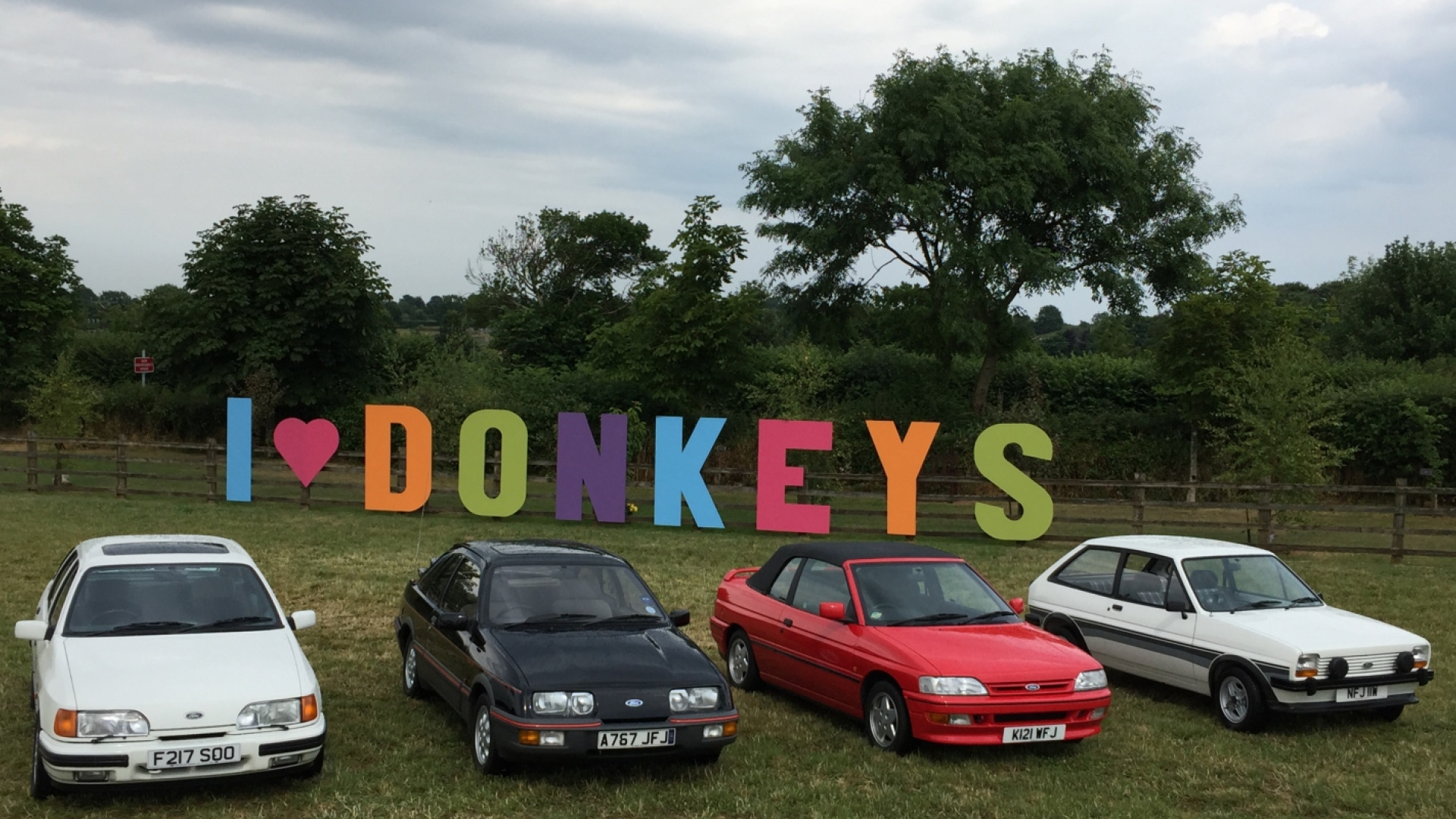 The-Donkey-Sanctuary-Car-Show
