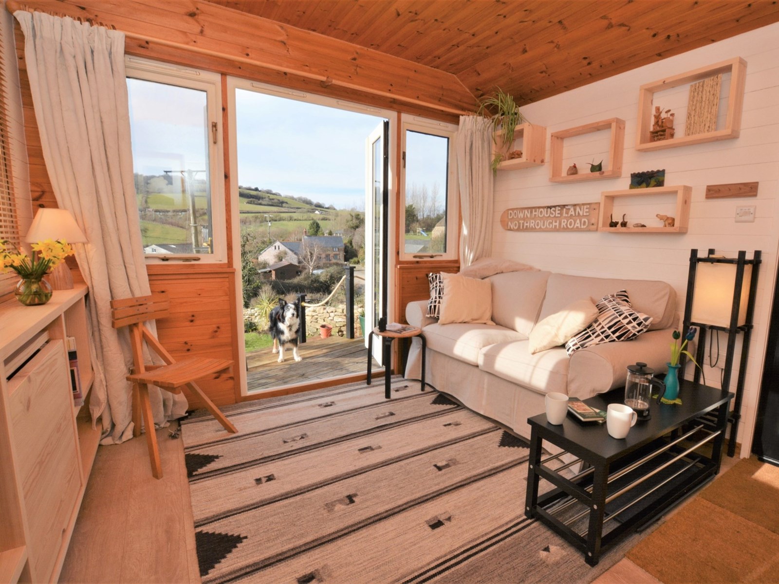dog and outdoors view beehive cottage eype canine cottages