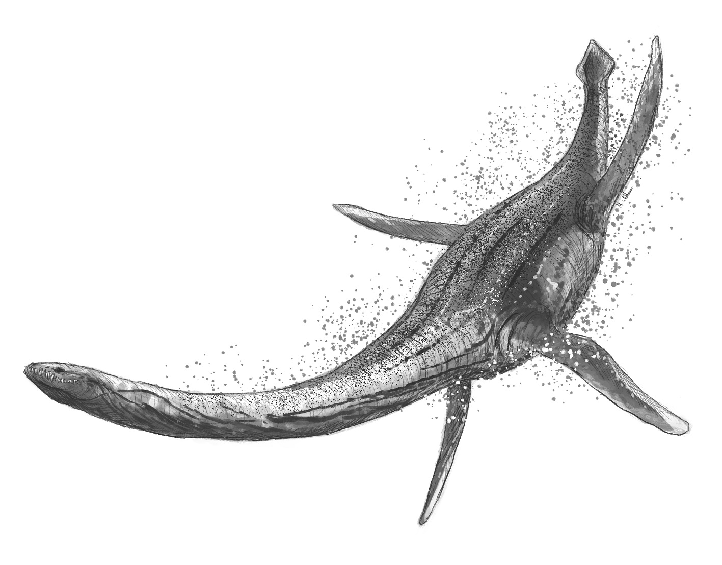 plesiosaur mark witton
