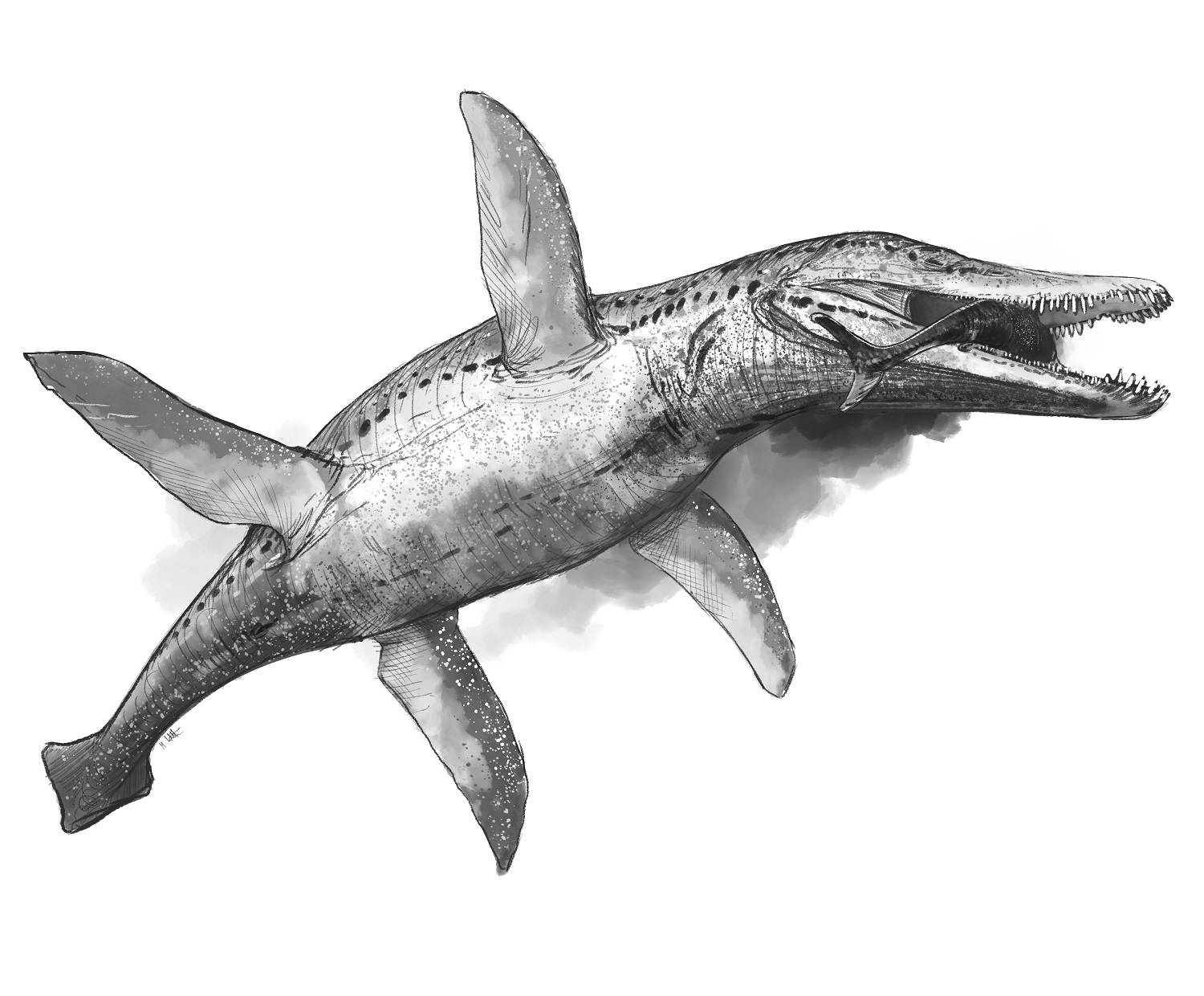 pliosaur mark witton