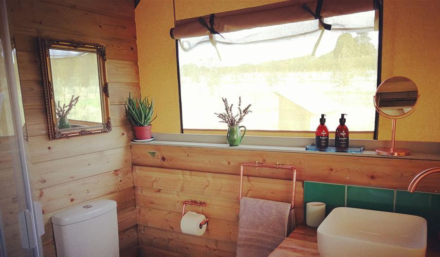 Jurassic Glamping
