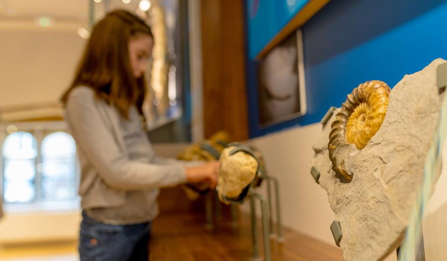 Bridport Museum
