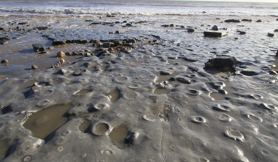 The Ammonite Pavement